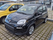 Fiat Panda 2024