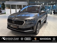 Skoda Karoq 2022