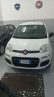 Fiat Panda 2019