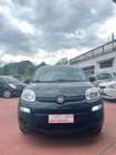 Fiat Panda 2019