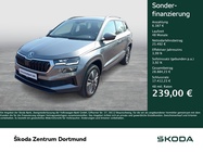 Skoda Karoq 2025