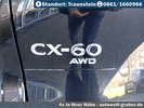 Фото 9