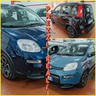 Fiat Panda 2021