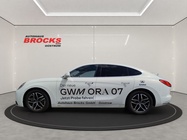 Great Wall Ora 07 2024