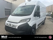 Fiat Ducato 2026