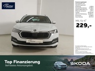 Skoda Octavia 2022