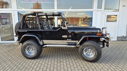 Jeep Wrangler 1994