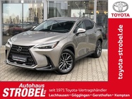 Lexus NX 2025