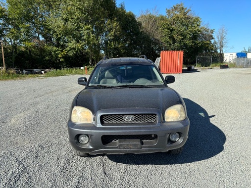 Hyundai Santa Fe 2002