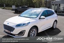 Ford Kuga 2022