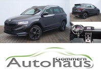 Skoda Karoq 2024