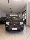 Fiat Panda 2024