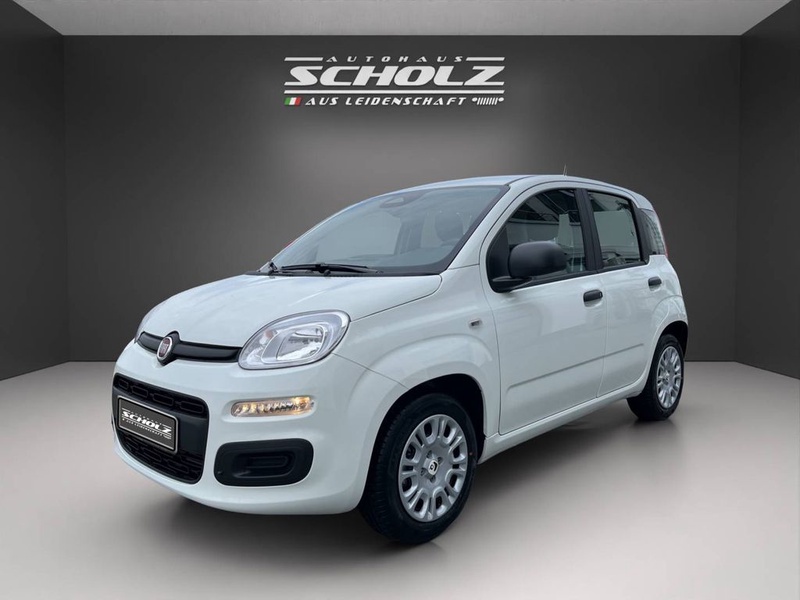 Fiat Other