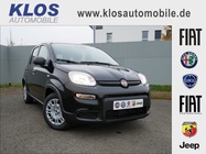 Fiat Panda 2024