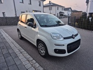 Fiat Panda 2020