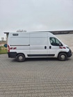 Fiat Ducato 2019
