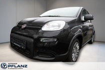 Fiat Panda 2025