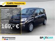 Fiat Panda 2025