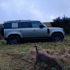 Land Rover Defender 2023