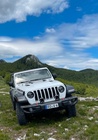 Jeep Wrangler 2020