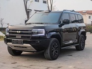 BYD Other 2024