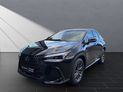 Lexus Other 2026