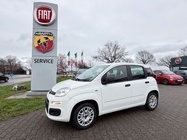 Fiat Panda 2019