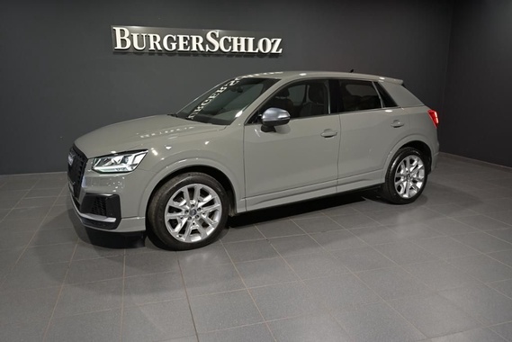 Audi SQ2 2019
