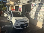 Fiat Panda 2020