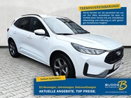 Ford Kuga 2026