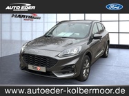 Ford Kuga 2023