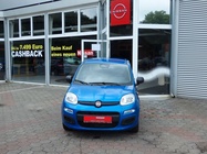 Fiat New Panda 2025