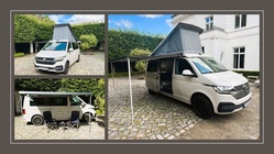 Volkswagen T6 2024