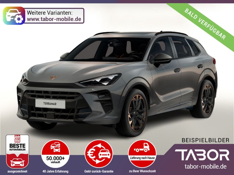 Cupra Terramar
