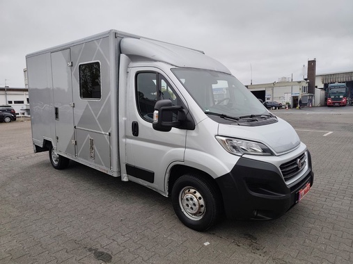 Fiat Ducato 2019