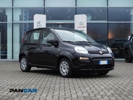 Fiat Panda 2024