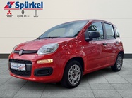 Fiat Panda 2020