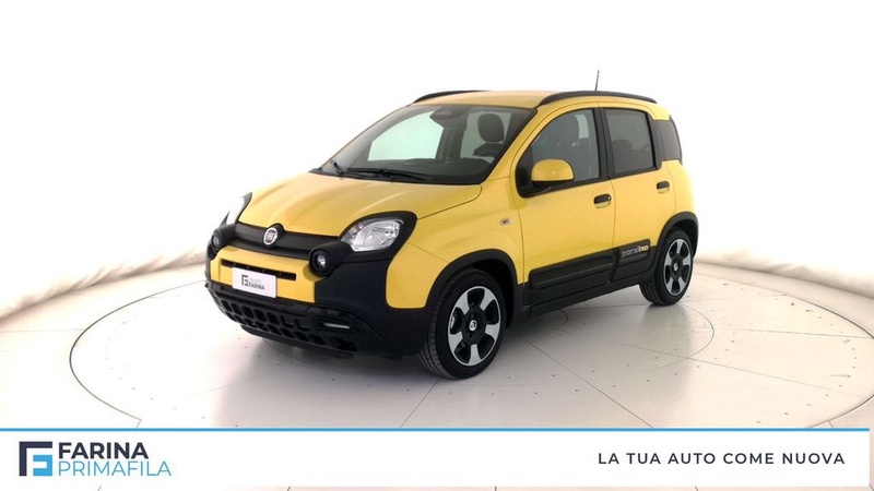 Fiat Other