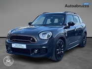MINI Other 2019