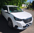 Peugeot 2008 2020