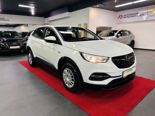 Opel Other 2020