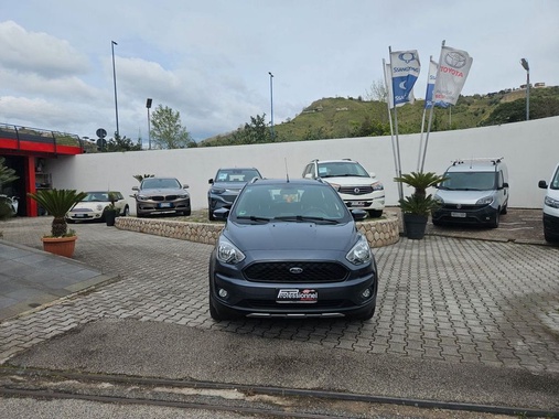 Ford Other 2019