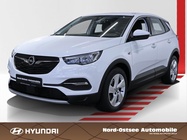 Opel Grandland 2019