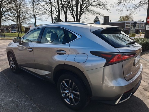 Lexus NX 2020