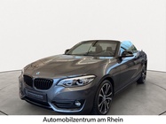 BMW 2 Series 2019