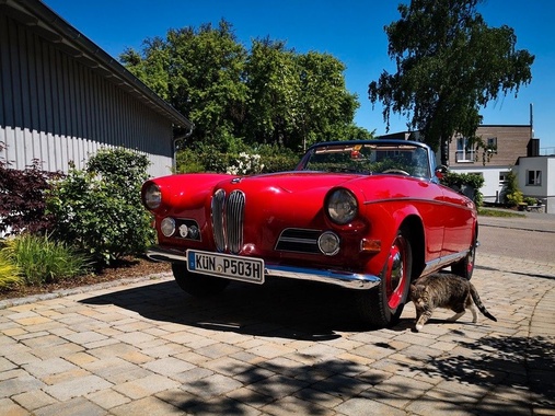 BMW Other 1959