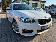 BMW 2 Series 2019