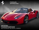 Фото 0