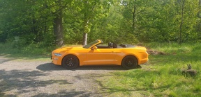Ford Mustang 2019