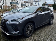 Lexus NX 2020